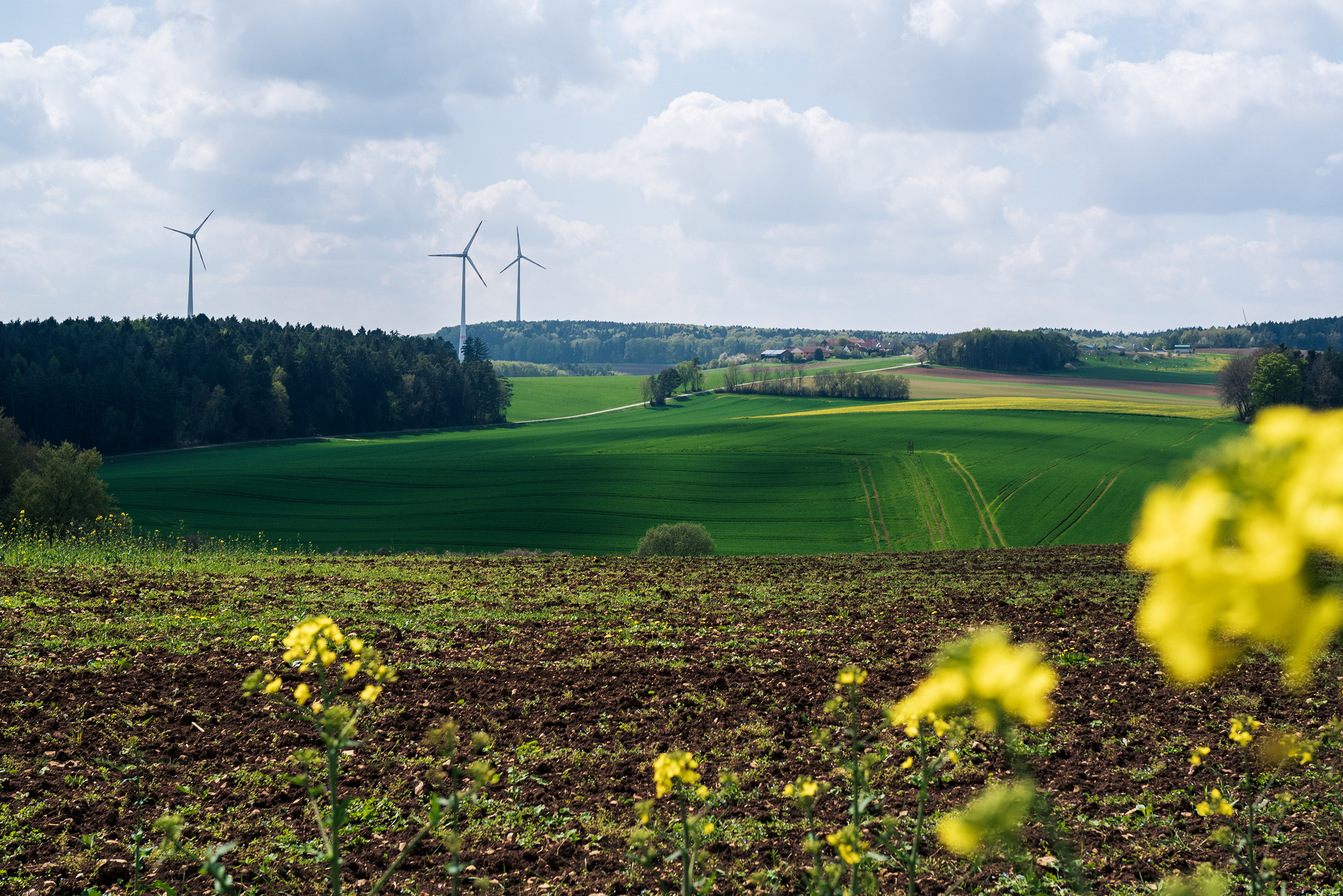 Nature_DE_fields-wind-farm_L1015098_web