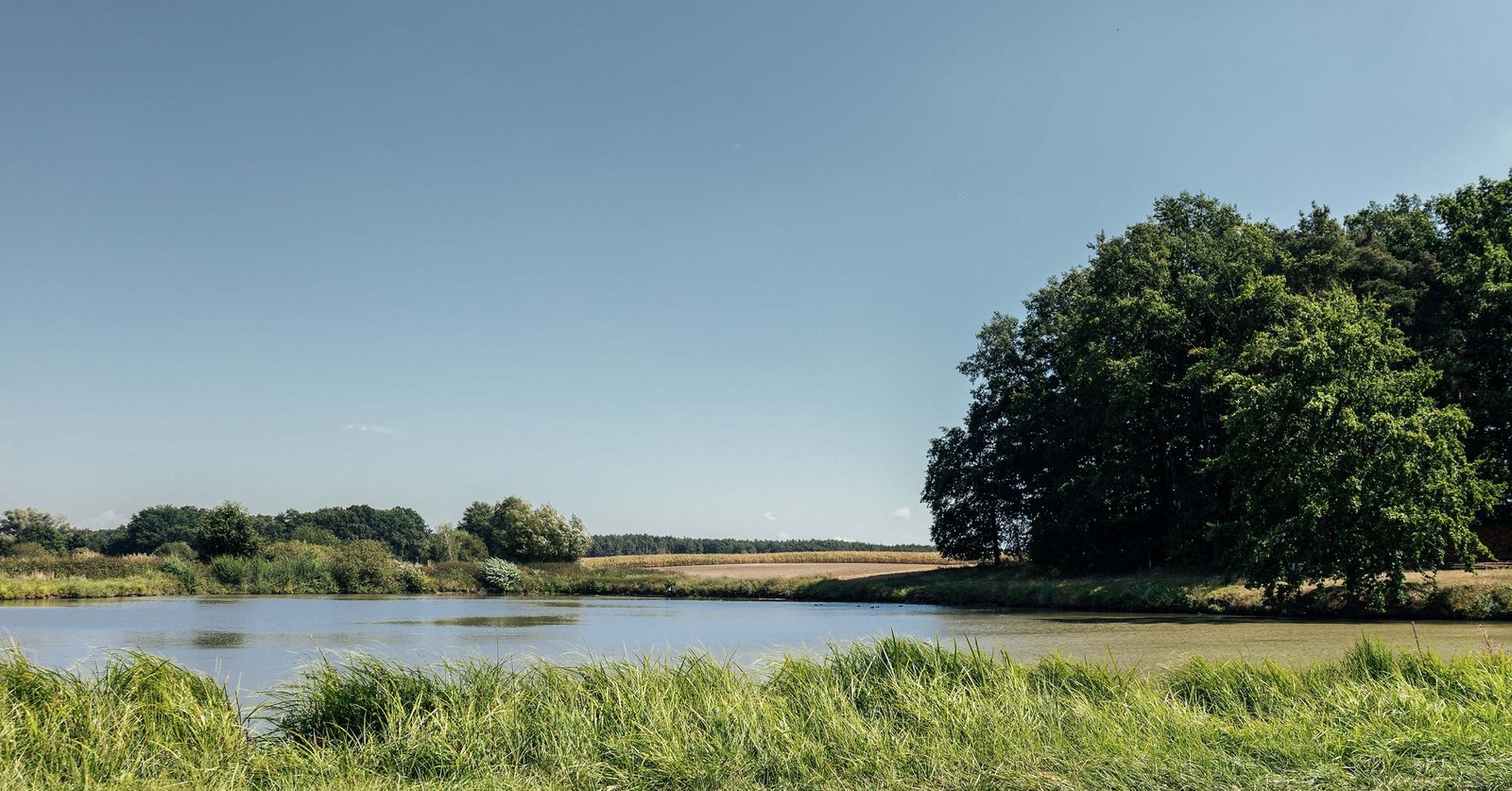 Hexatronic launches new Sustainability Roadmap to 2030