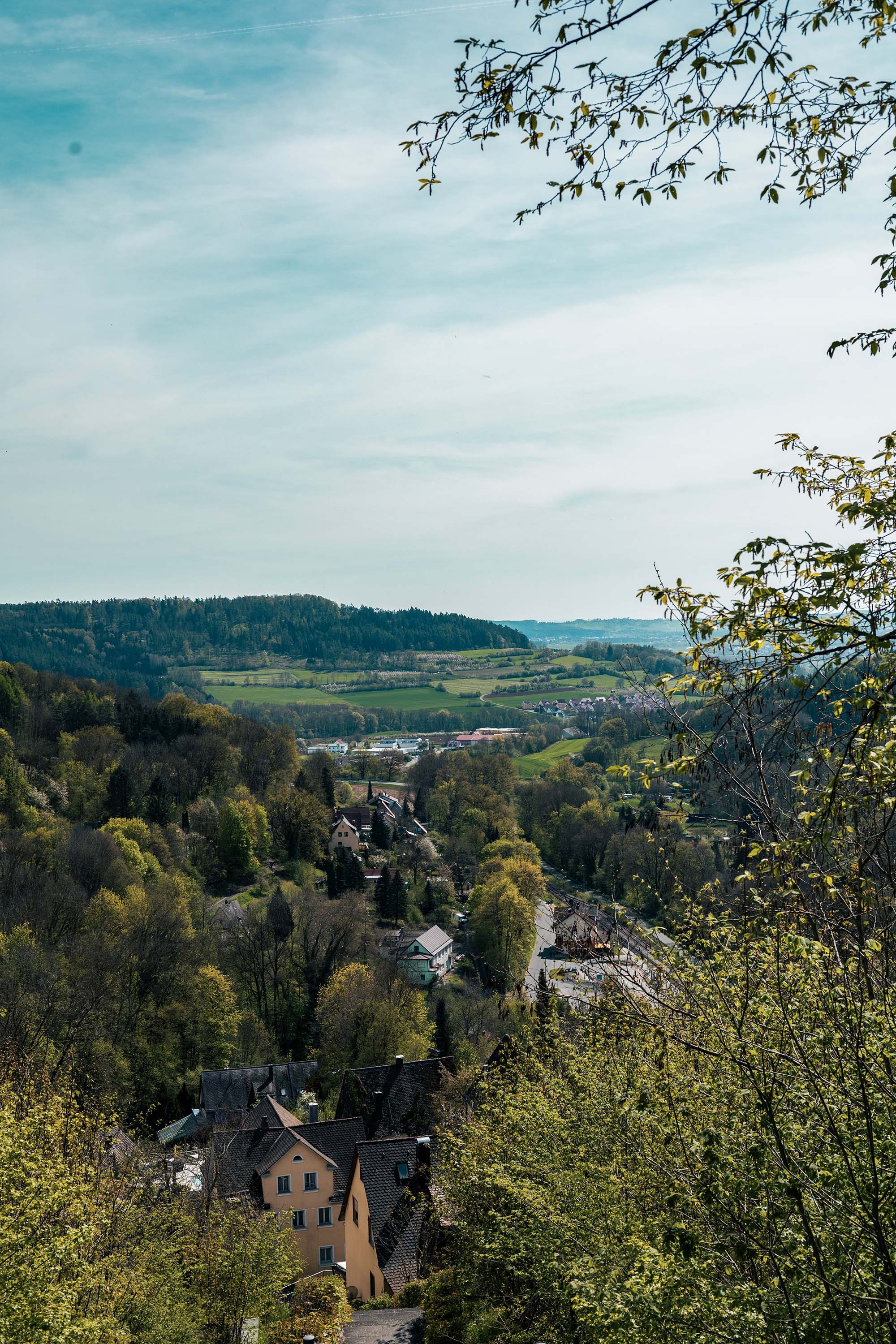 A landscape of a valley surrounded by greenery. Numerous houses are scattered amidst the dense trees, giving an essence of cohabitation with nature.