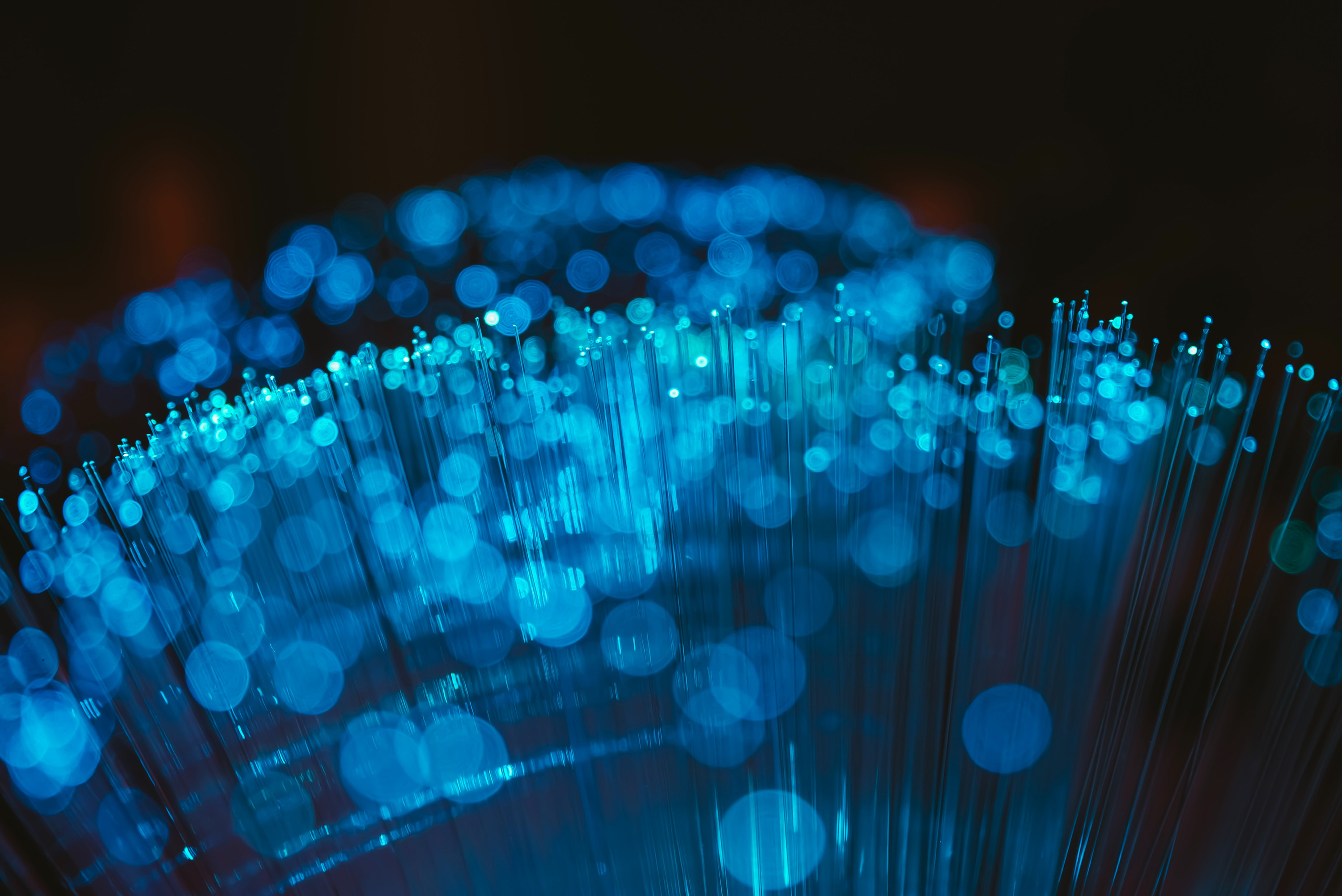 A close-up of glowing blue fiber optic cables, resembling a starry night sky against a dark backdrop.