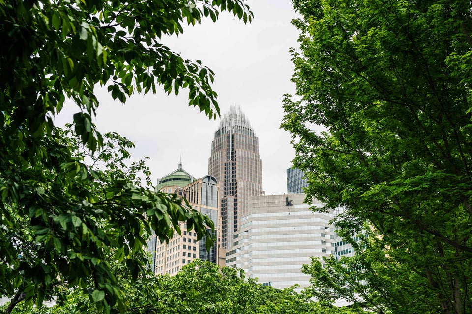 Cityscape with diverse buildings under a soft-lit sky, framed by lush green tree branches, exuding serenity.