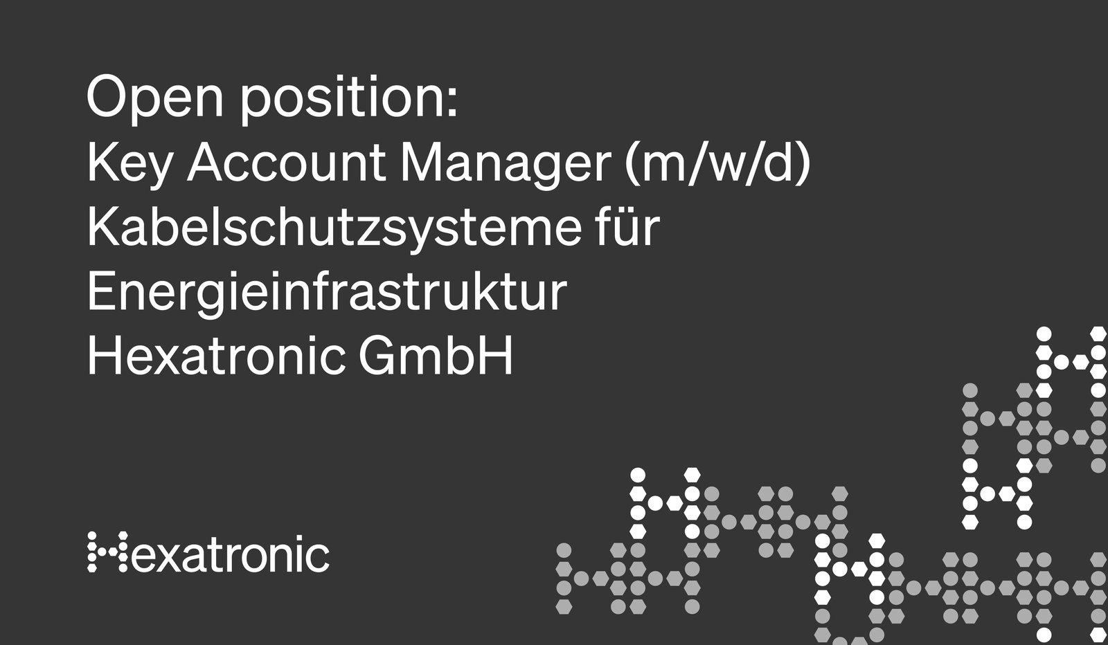 Key Account Manager Kabelschutzsysteme (m/w/d) – Hexatronic GmbH