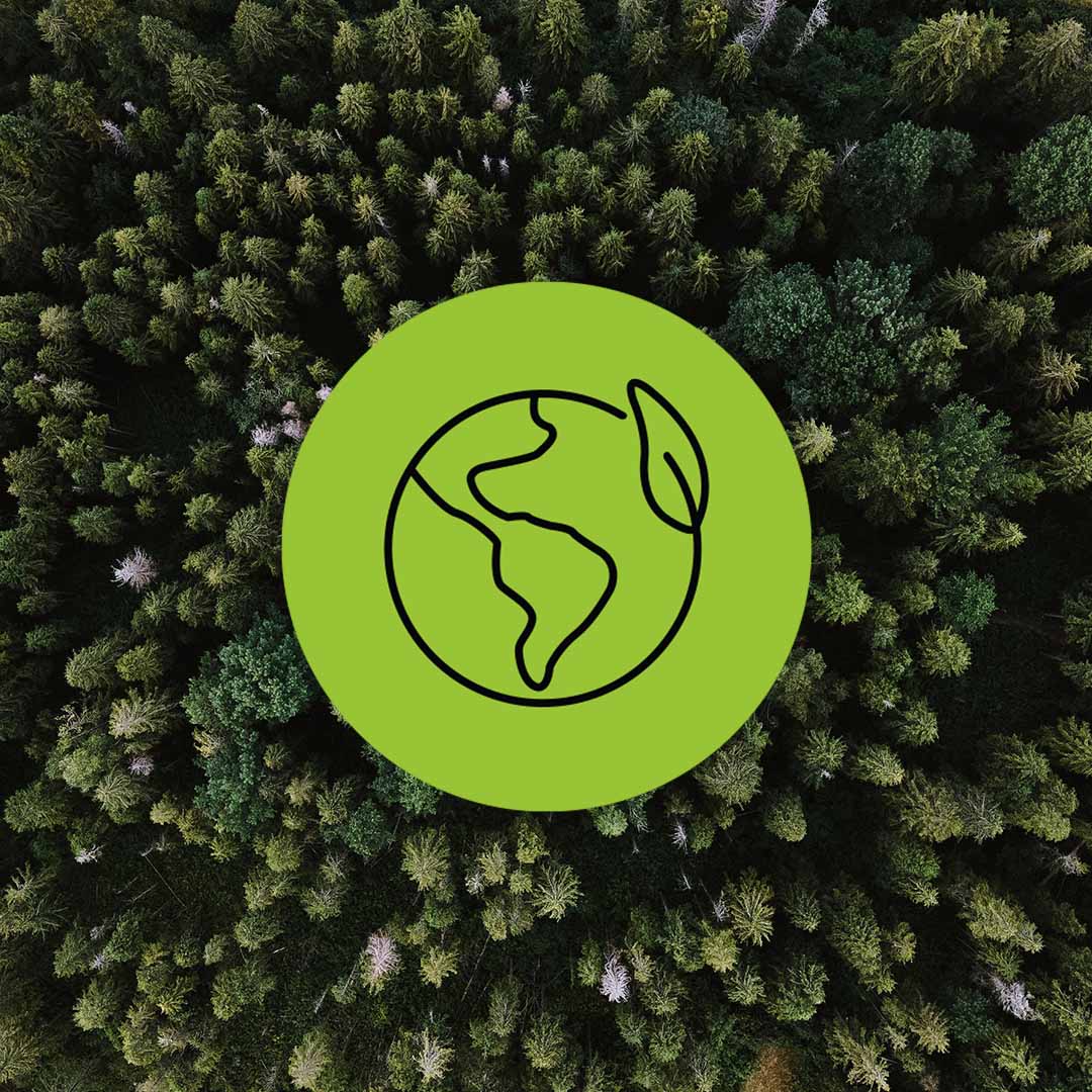Sustainability