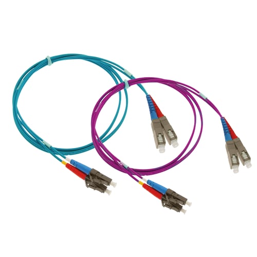 One blue and one purple multimode patch cord