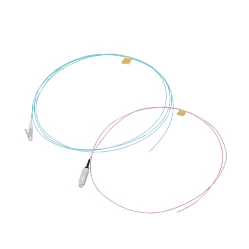 One blue and one red multimode pigtail